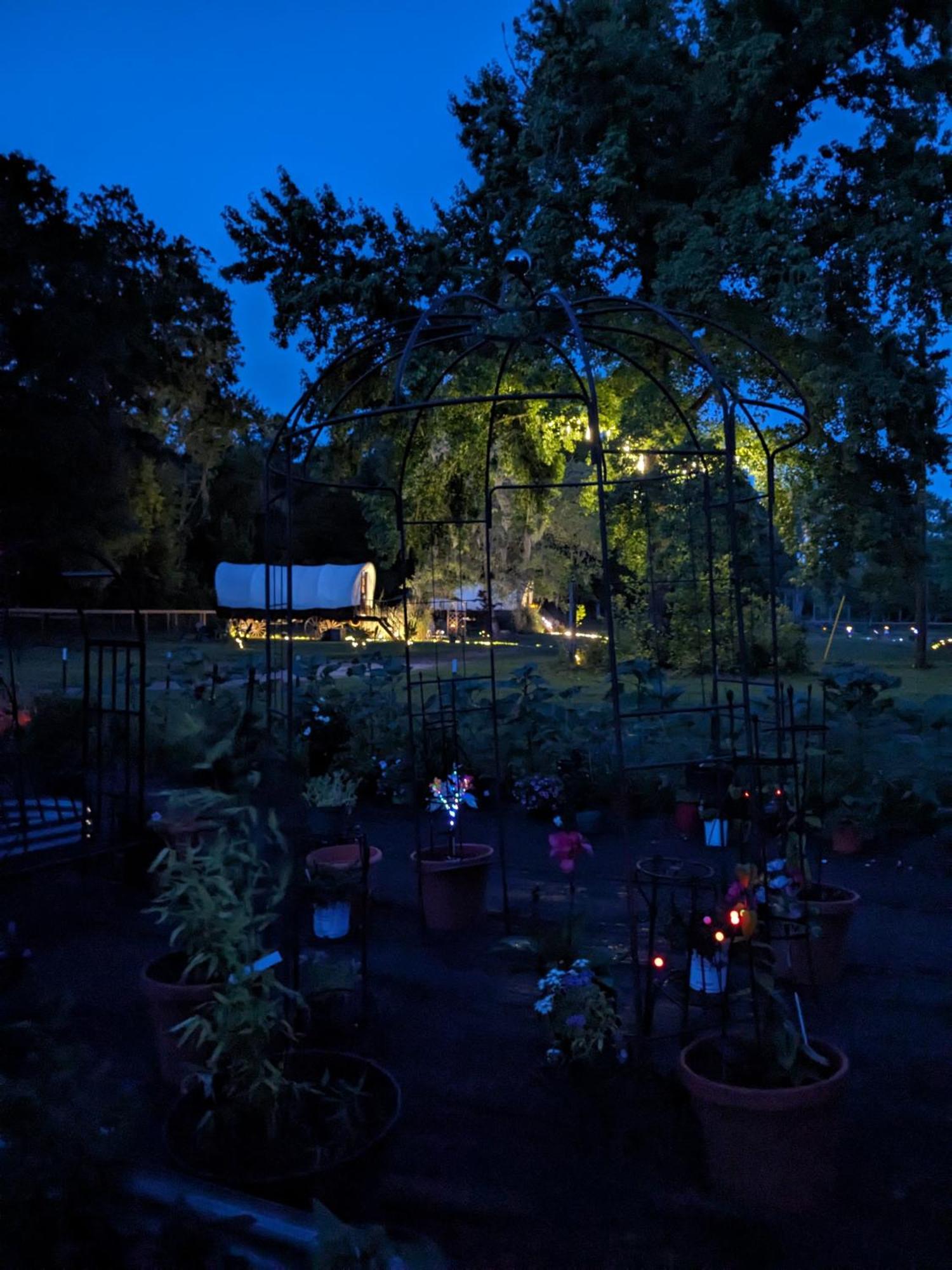 Rooterville Animal Sanctuary Melrose Buitenkant foto