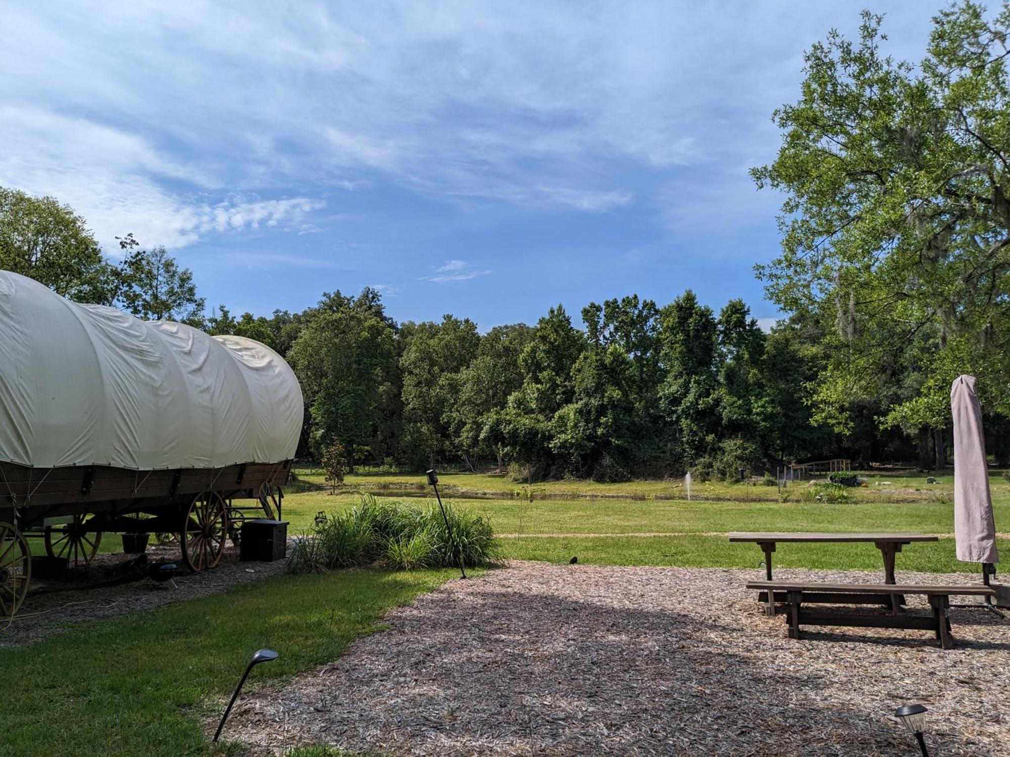 Rooterville Animal Sanctuary Melrose Buitenkant foto