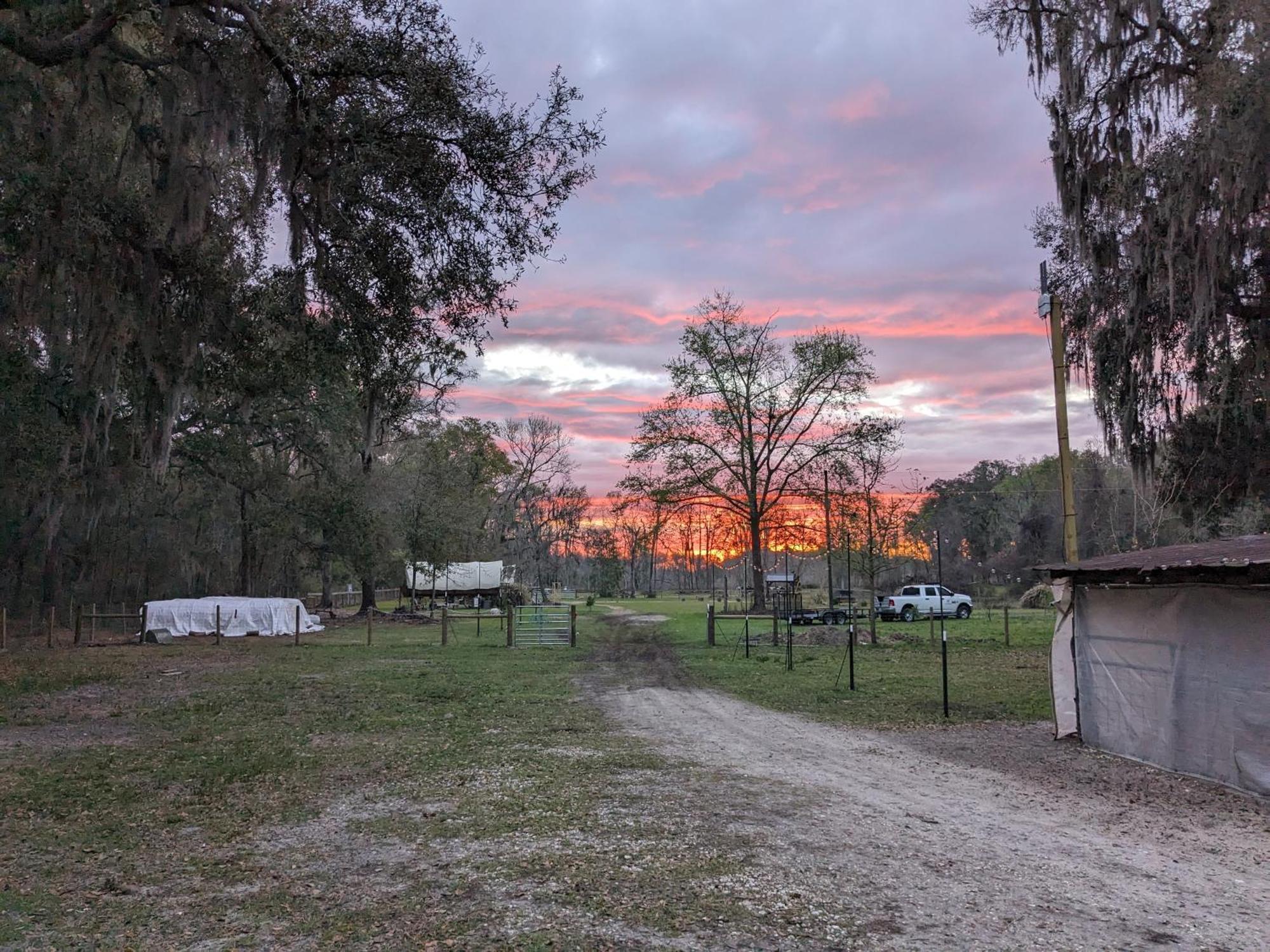 Rooterville Animal Sanctuary Melrose Buitenkant foto